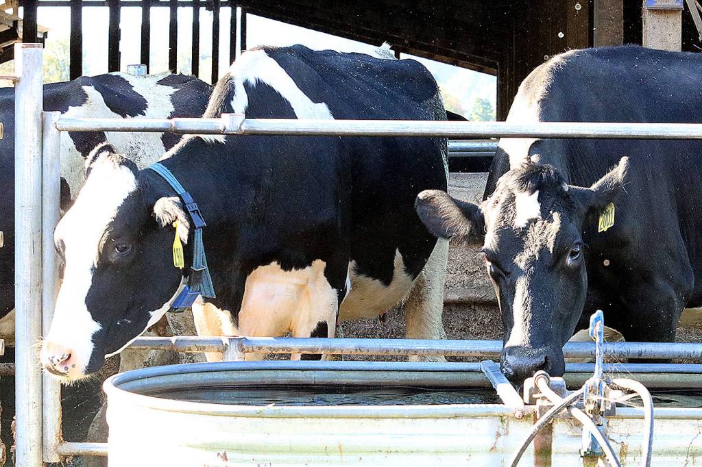 Annual Showcase Grays Harbor features agriculture
