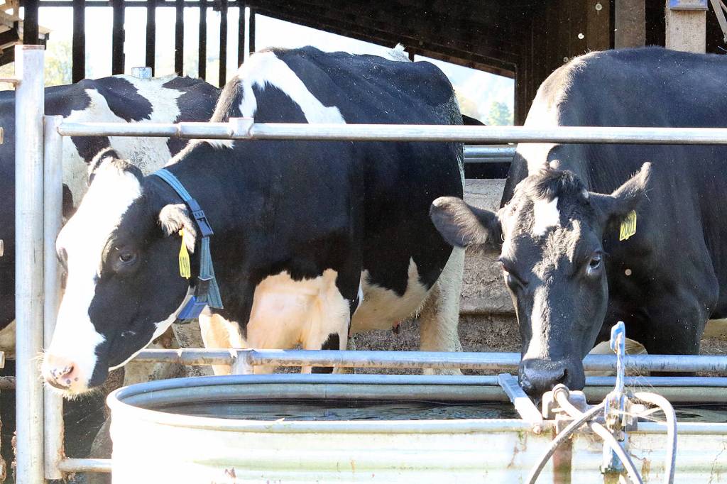 Annual Showcase Grays Harbor features agriculture