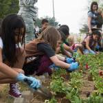 Master Gardener: Growing creative kids in the garden