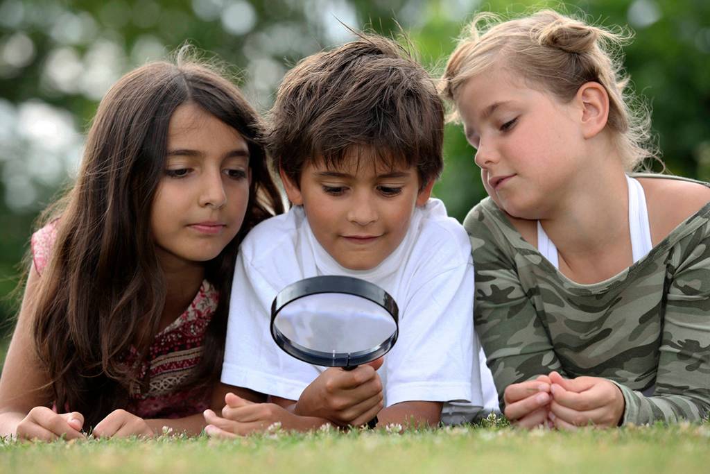 Master Gardener: Growing creative kids in the garden