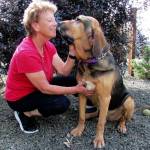 Bloodhounds invade Ocean Shores