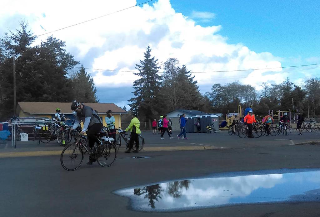 Dave Haerle | The Daily World                                 Reach the Beach Washington participants prepare to hit the trail from the 25-mile launch point at Cosmopolis Lions Park on Saturday.