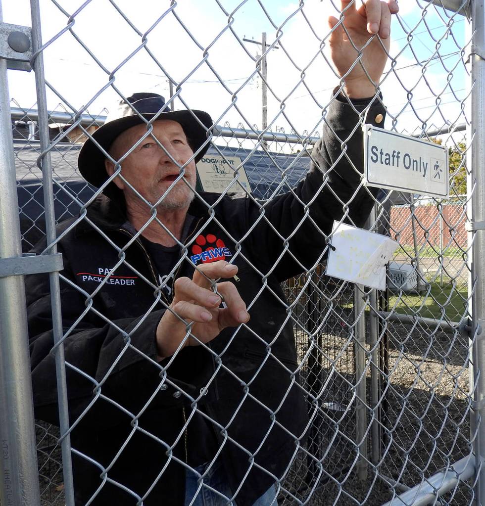 (Kat Bryant | The Daily World) Pat Pierce, known as the &ldquo;Pack Leader&rdquo; at PAWS of Grays Harbor, has been volunteering there for about 15 years.