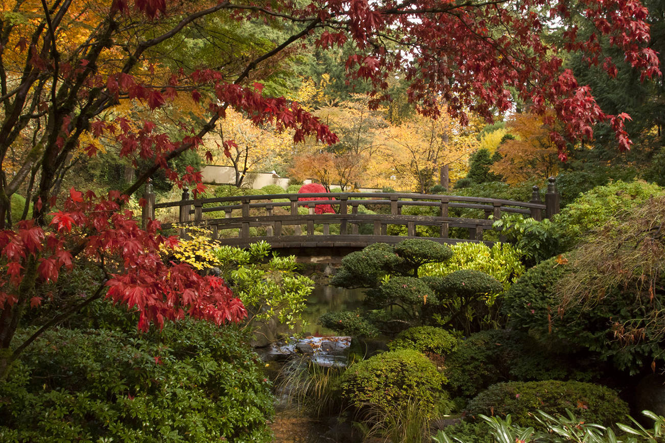 Gem of the Pacific Northwest: The Portland Japanese Garden | The