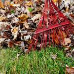 Raking leaves is only one thing on a long list of November outdoor chores. (Dreamstime)