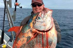 Two Washington sport fish records fall