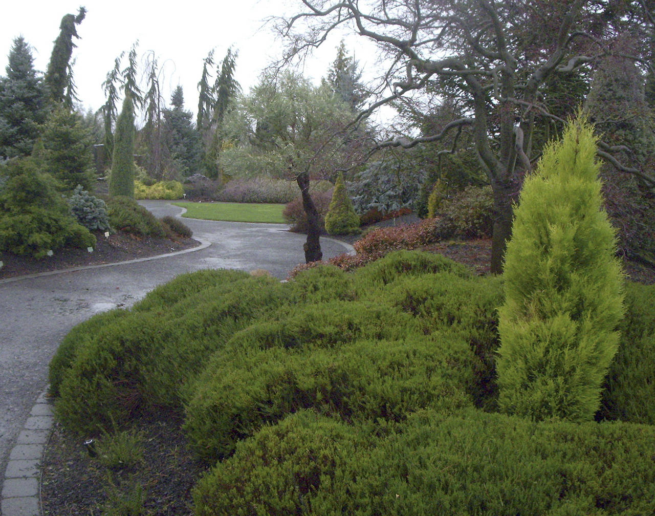 <style type="text/css"></style>                                Courtesy Beth Day Waters                                This is the entrance to the conifer section of the Oregon Garden near Silverton, Oregon.