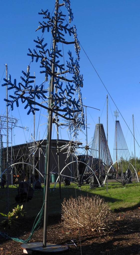 The display takes up the Collins entire yard and part of their neighbors. (Kat Bryant | The Daily World)
