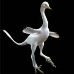 This weird, water-loving dinosaur has claws like a velociraptor and a neck like a goose