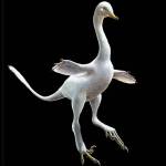 This weird, water-loving dinosaur has claws like a velociraptor and a neck like a goose