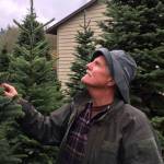 Hedlunds deliver Pence family’s D.C. Christmas tree