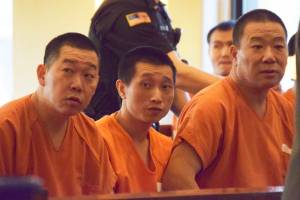 Defendants plead not guilty to weed-growing charges