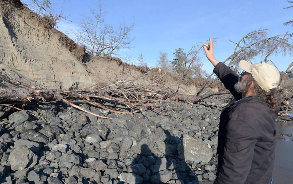 DAN HAMMOCK | THE DAILY WORLD Pacific County Drainage District commission chairman David Cottrell shows a section of bank benefiting from dynamic revetment, the placing of cobble on beaches designed to diffuse the impact of waves and protect the shoreline. This bank is off the end of old State Route 105.