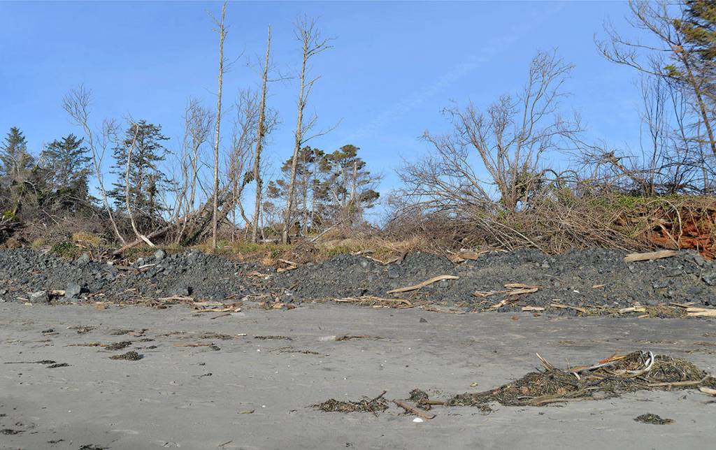 DAN HAMMOCK | THE DAILY WORLD An example of the dynamic revetment efforts in North Cove.