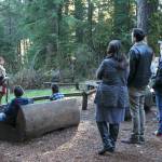 Rangers guide walks on the Netul River Trail.