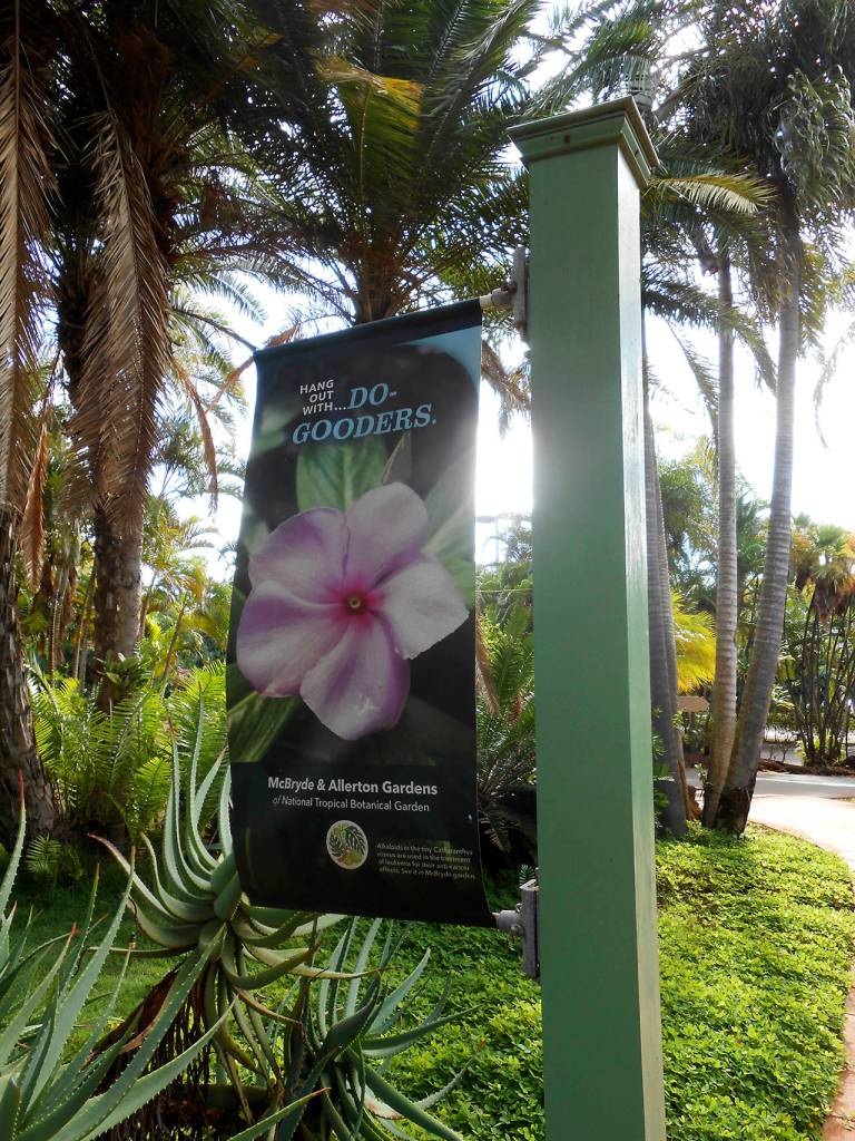 Photo by Katie Lutz                                 The Allerton and McBryde gardens, located on the south side of Kauai, Hawaii, are part of the National Tropical Botanical Garden system.