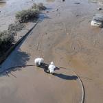 Workers are knee-deep in mud along a flooded stretch of U.S. Highway 101 in Montecito, Calif., on Saturday. (Luis Sinco/Los Angeles Times/TNS)