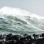 PATRICIA JOLLIMORE | FOR THE DAILY WORLD                                A massive wave looms over Ocean Shores North Jetty.
