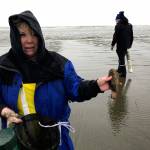 Photos from the razor clam dig on the coast