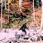 Bigfoot eludes state recognition yet again