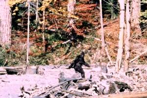 Bigfoot eludes state recognition yet again