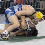 Slew of area wrestlers earn Mat Classic medals