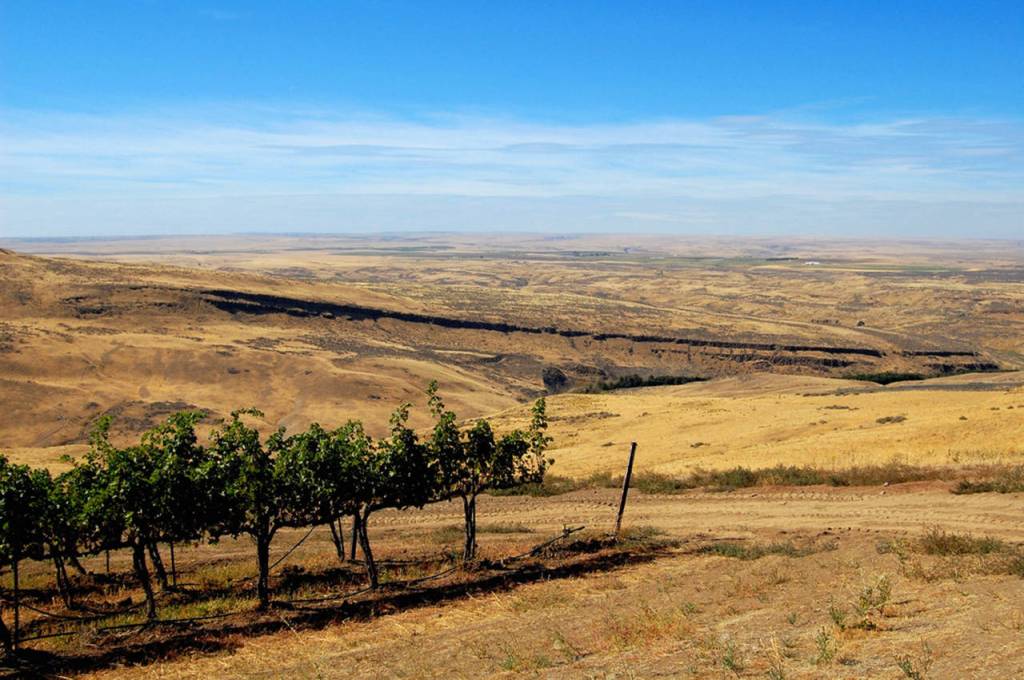 (Photo by Mark Lievsay) Terroir is a term frequently used to describe the soil, climate and geographical features of a wine-growing area. Horse Heaven Hills, pictured here, is one such area in southeastern Washington, between the Yakima Valley and the Columbia River.