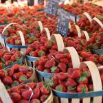 A look at the effects of terroir on taste