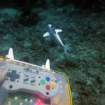 The team used a water-proof Super Nintendo controller to change SoFis speed and have it make specific moves and turns. (Courtesy MIT CSAIL)