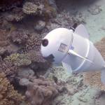 Using its undulating tail and a unique ability to control its own buoyancy, SoFi can swim in a straight line, turn, or dive up or down. (Courtesy MIT CSAIL)