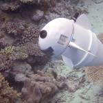 Scientists build a robotic fish to spy on ocean life