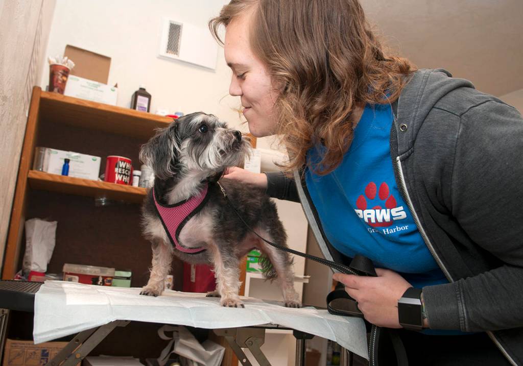 Photo by Marcy Merrill                                Incoming executive director Dana Staab gets to know a new shelter resident at PAWS.