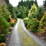 Oh, snap: the good, the bad and the ugly