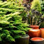 Photos by Beth Day Waters