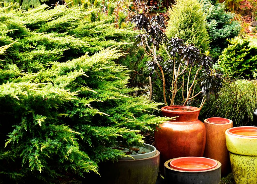 Photos by Beth Day Waters