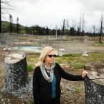 Facing complications, many Santa Rosa fire victims decide to move on
