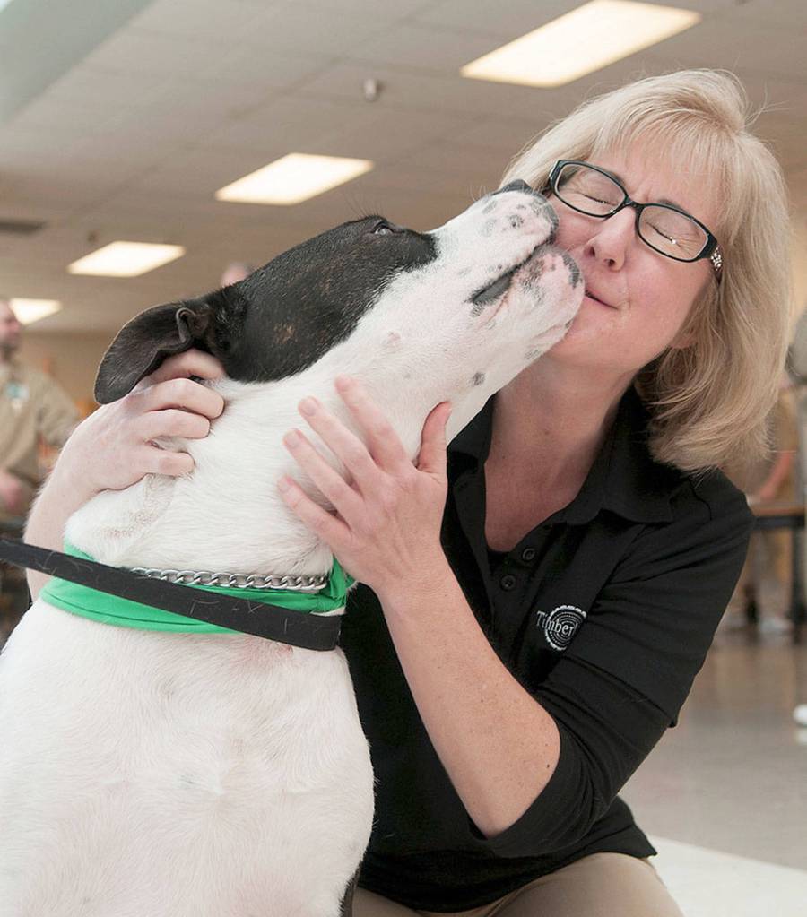 (Courtesy Marcy Merrill) PAWS board memeber Linda Francisco poses with Max at the Freedom Trails ceremony last week at Stafford Creek Corrections Center. Max was trained by inmates over the last 10 weeks to perform seven basic commands.