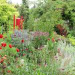 Master Gardeners often open their gardens to the public during the annual garden tour in Grays Harbor and Pacific Counties. (Photo by David Wilhelms)
