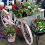 Home and Garden Show to feature gardening talks, plant clinics