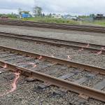 DAN HAMMOCK | THE DAILY WORLD                                Bright spray paint surrounds the area where a 48-year-old woman had both legs severed when she was struck by a train early Thursday morning. The photo was taken at the track closest to the end of South Michigan Street just south of Harbor Battery and State Street, facing south and east toward the Chehalis River.