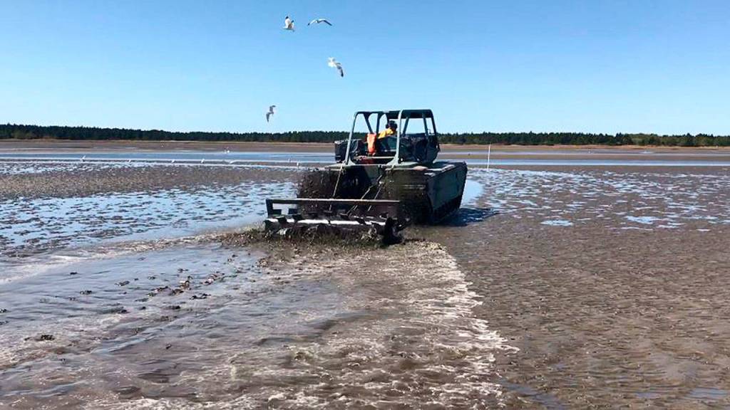 (Courtesy Josh Wilund) This marshmaster vehicle is being tested by the Department of Natural Resources as a way to disturb burrowing shrimp that have overtaken oyster growing land.