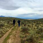 Terri Colby | Chicago Tribune                                 Visitors to the National Historic Oregon Trail Interpretive Center outside Baker City, Oregon, walk in the ruts formed when hundreds of thousands of pioneers crossed this route headed to the towering Blue Mountains.
