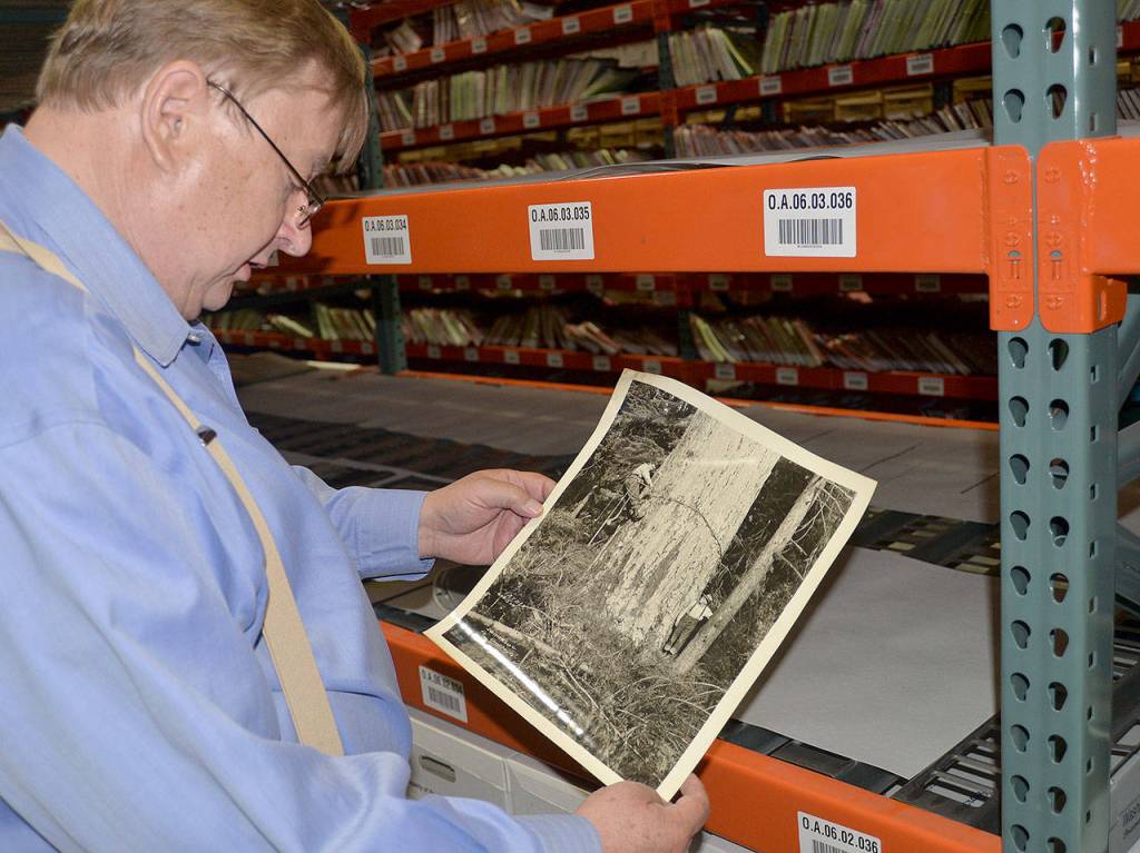 LOUIS KRAUSS | THE DAILY WORLD Washington State Archivist Steve Excell examines a photo of workers from the Saginaw Lumber Company, taken by Darius and Tabitha Kinsey.