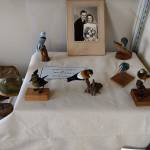 Feared lost in Armory fire, McCausland bird collection was nesting safely in Westport