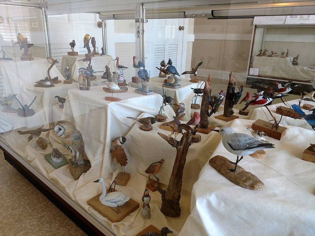 Feared lost in Armory fire, McCausland bird collection was nesting safely in Westport