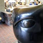 Aberdeen Library’s iconic Owl turns 50