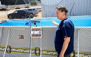 DAN HAMMOCK | THE DAILY WORLD                                After oiled birds have been cleaned and thoroughly dried, they are taken to a large pool for further rehabilitation.