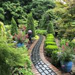 Boxwoods line a path in this Indiana garden. (Constance McAlpin)