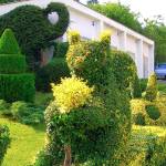 My favorite plants, from A to … B