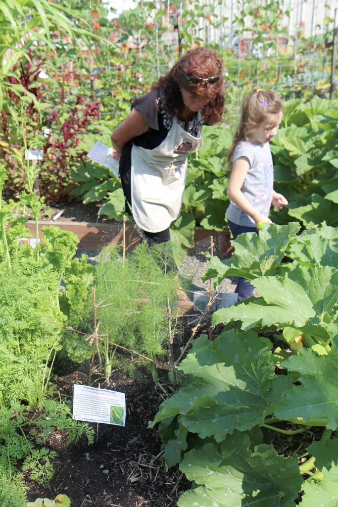Michael Lang | The Vidette                                Alexxis, 5, leads Tami Martin on a tour of the Master Gardeners garden Wednesday, Aug. 8, 2018, at the Grays Harbor County Fair in Elma. The fair runs through Sunday.